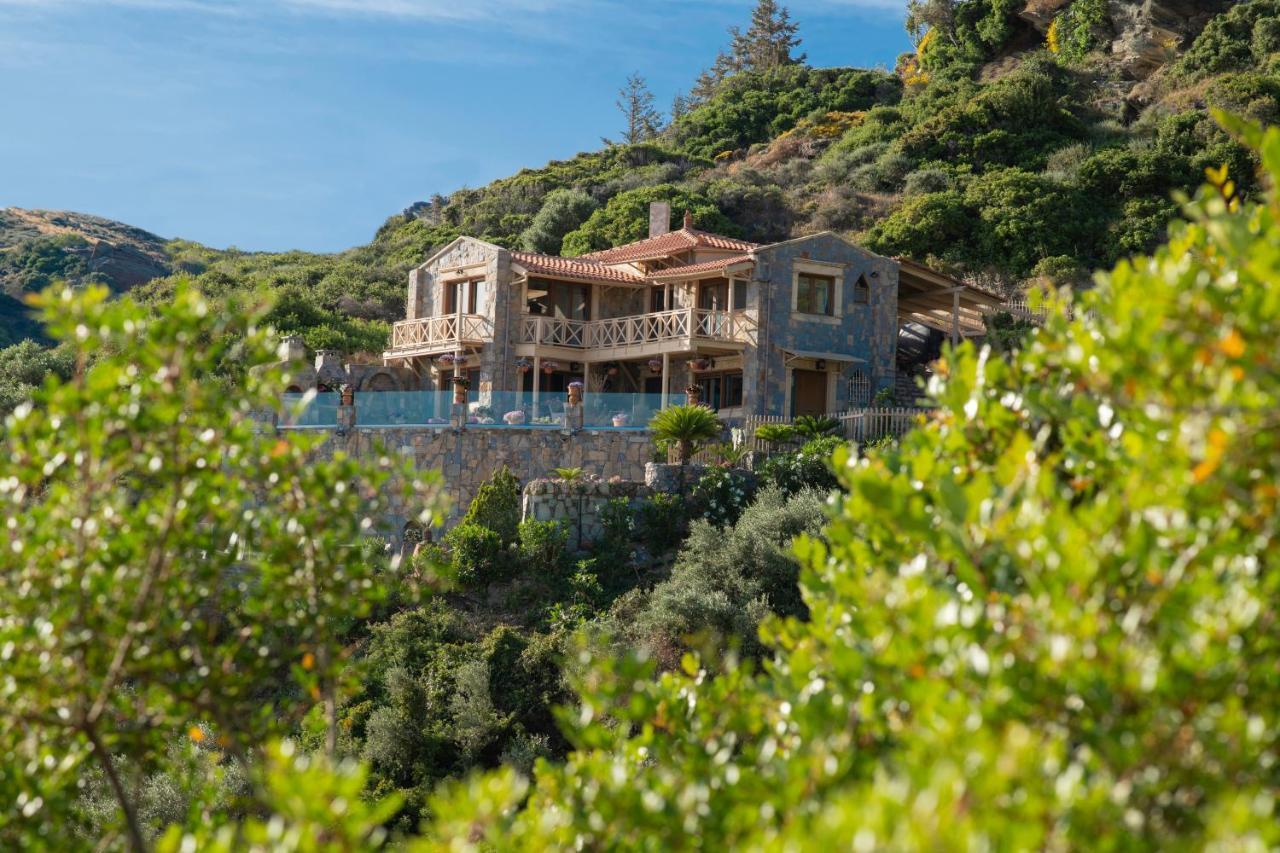 Felini Palace Agia Pelagia Exteriör bild